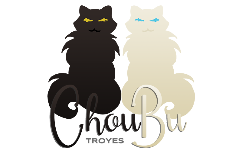 Choubu logo
